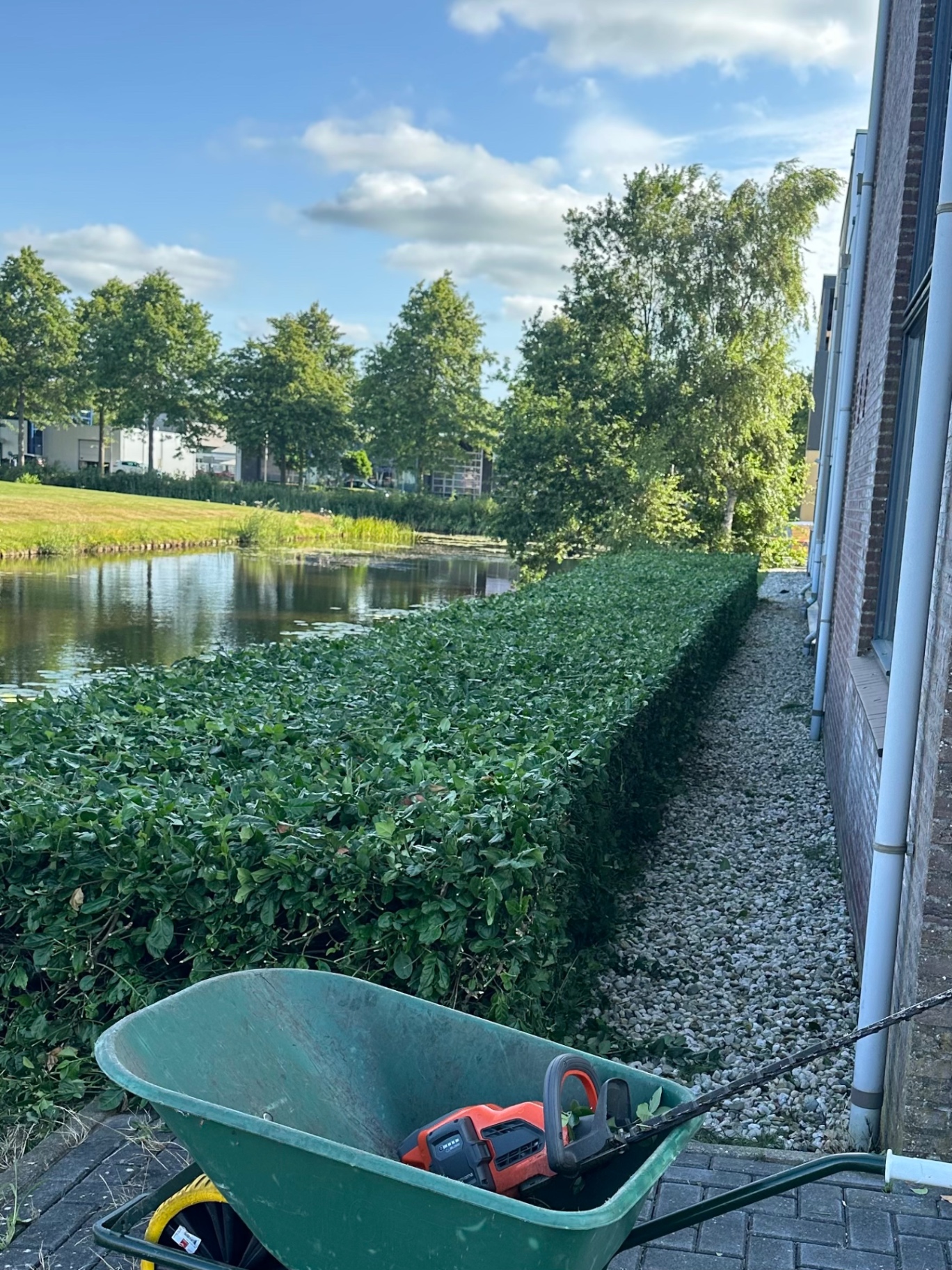 Strak geknipte haag langs het water bij een bedrijfspand