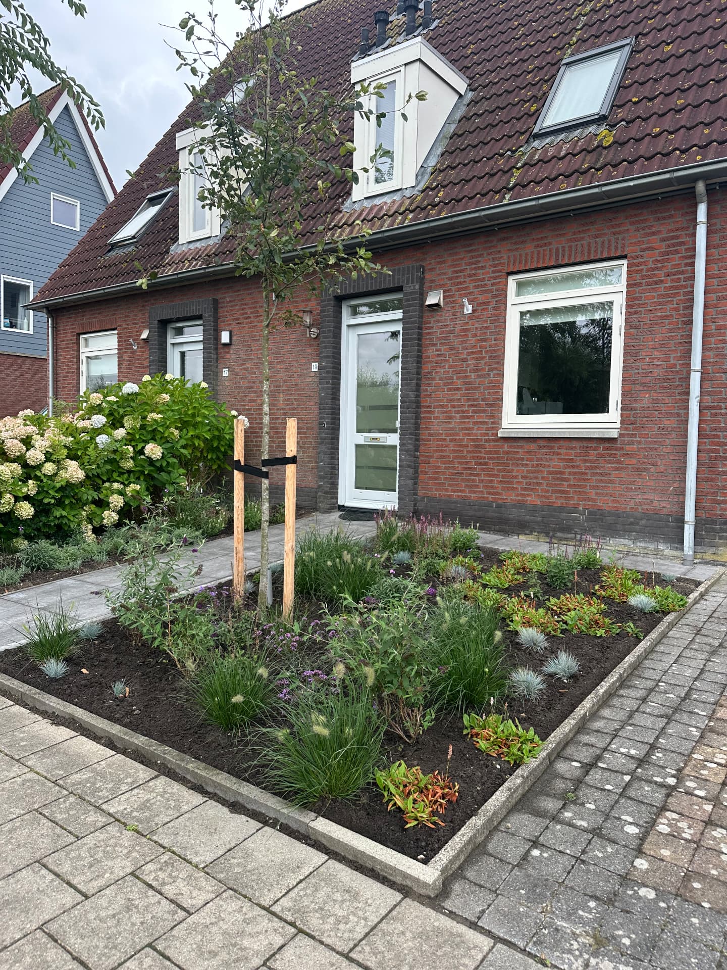Strak gesnoeide hagen langs een erf