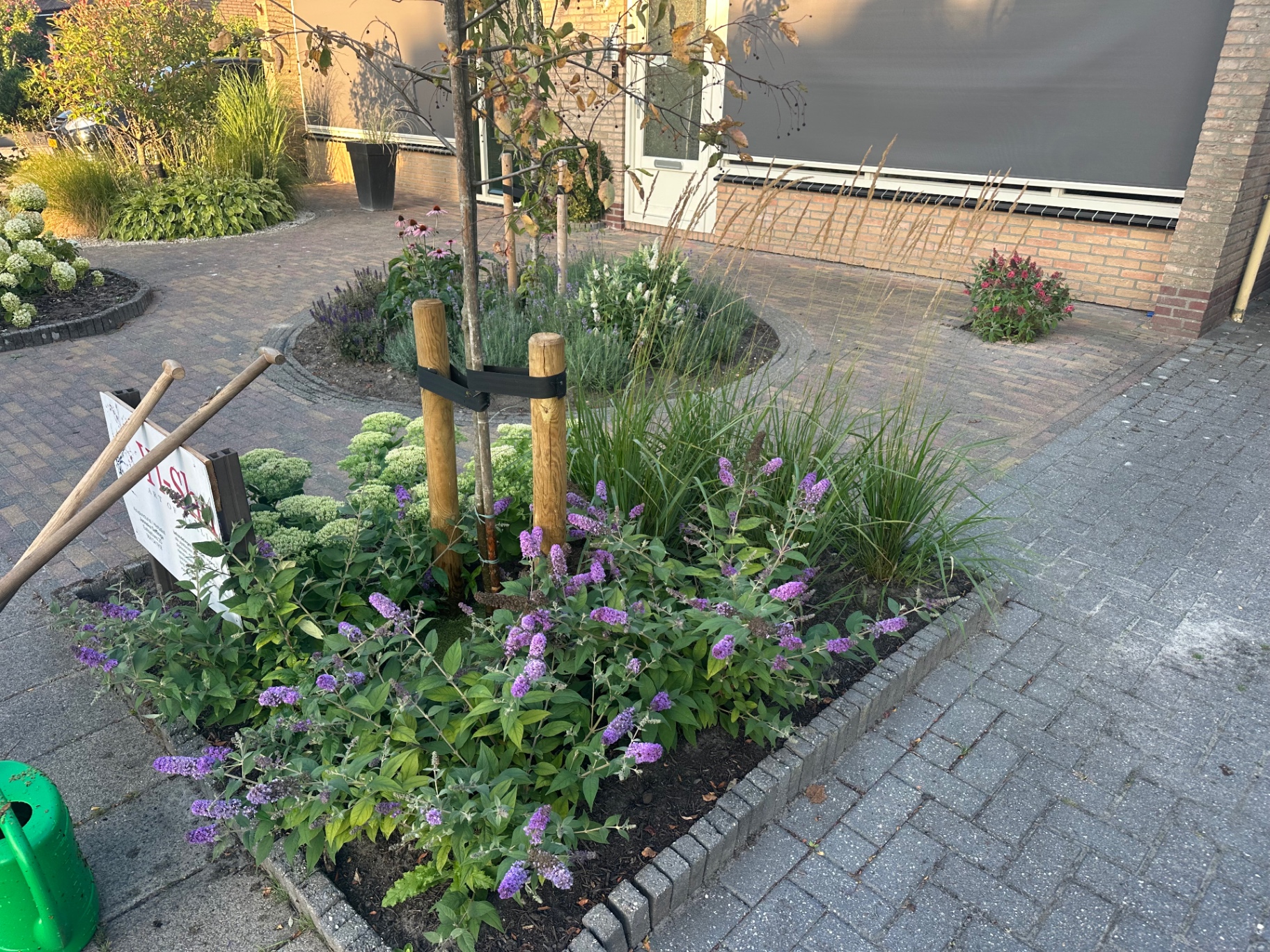 Border met vlinderstruik, siergrassen en vaste planten bij een oprit