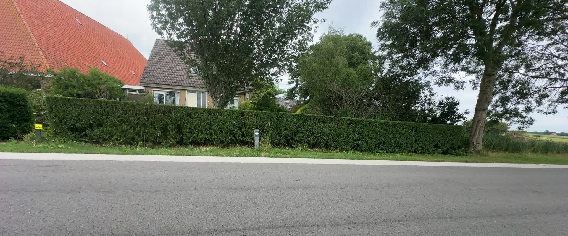 Lange haag langs de weg, strak op hoogte en breedte geknipt